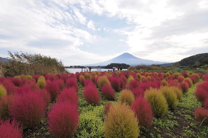 Mount Fuji Full Day Customized Private Tour with English Guide - FAQs about the Mount Fuji Private Tour