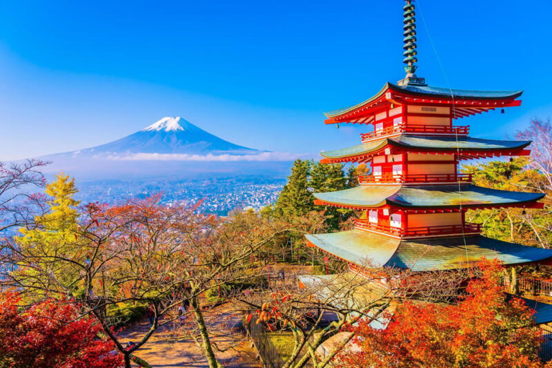 Mount Fuji Full-Day Private Tour from Tokyo (Customizable) - Transportation and Logistics
