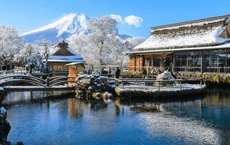 Mount Fuji Full-Day Private Tour from Tokyo (Customizable) - Summary of the Experience