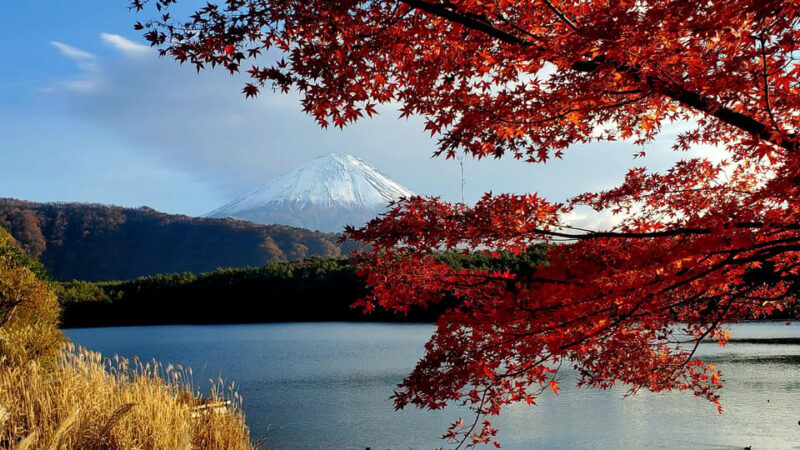 Mount Fuji Full-Day Private Tour from Tokyo (Customizable) - Key Points