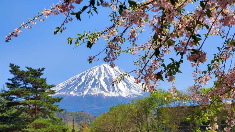 Mount Fuji Full-Day Private Tour from Tokyo (Customizable) - The Itinerary Breakdown