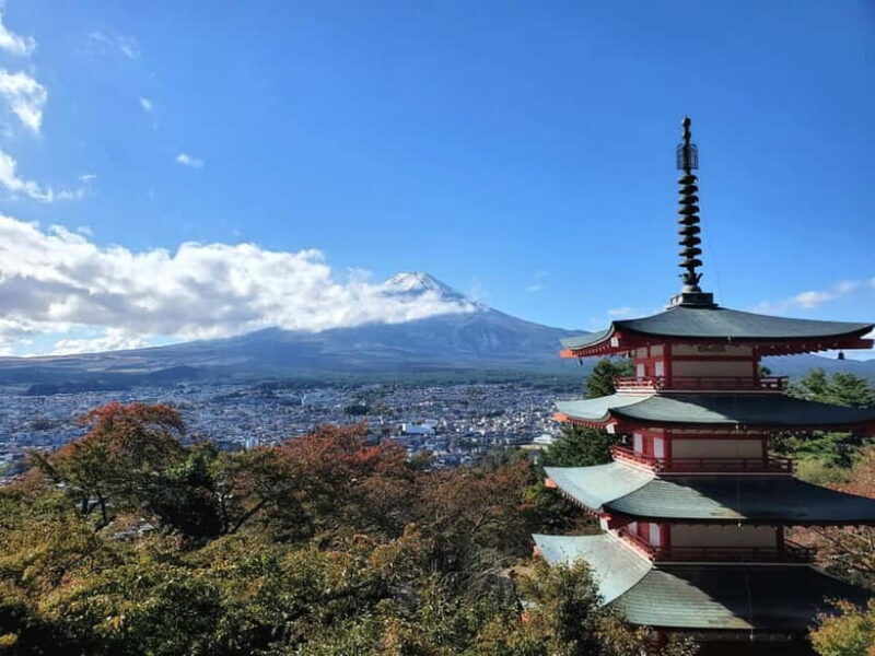 Mount Fuji Full-Day Private Tour from Tokyo (Customizable) - Who Will Love This Tour?