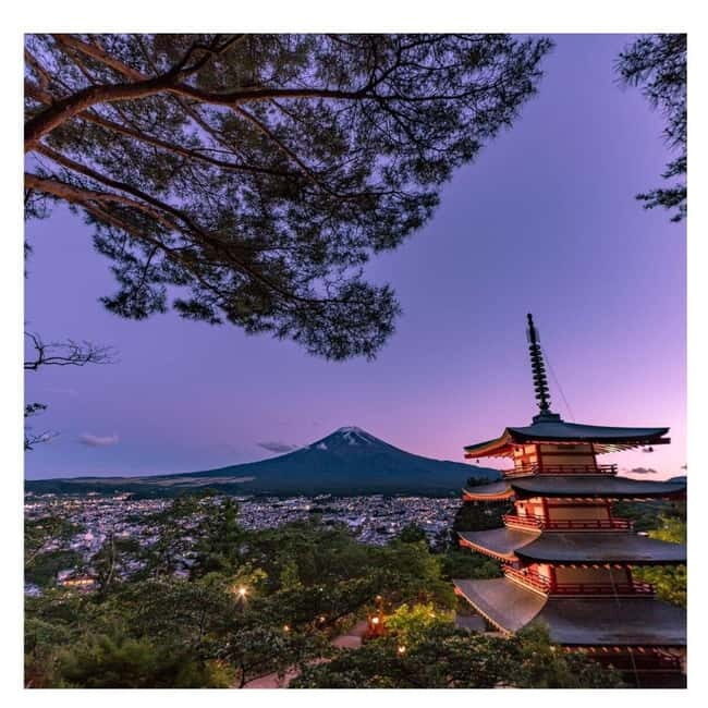 Mount Fuji Full Day Private Tour from Tokyo Full Customized - From the Reviews: What Travelers Say