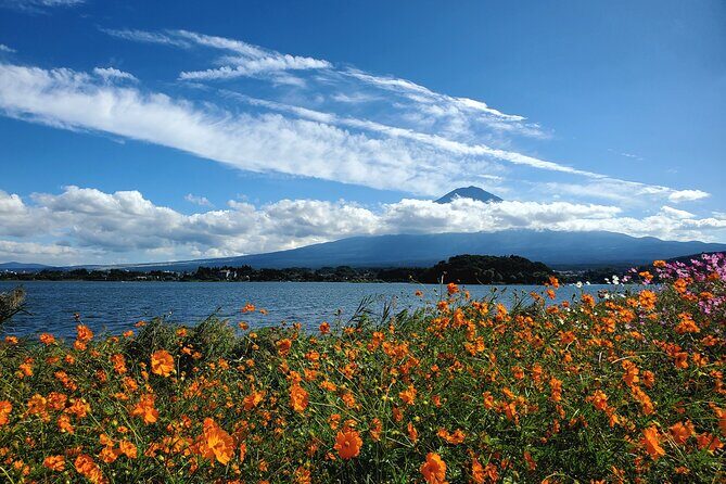 Mount Fuji Full-Day Private Tour from Yokohama Port Customizable - Final Thoughts