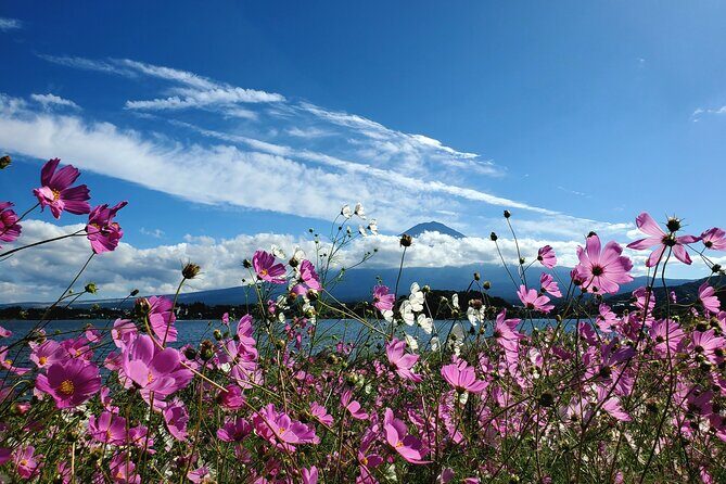 Mount Fuji Full-Day Private Tour from Yokohama Port Customizable - Frequently Asked Questions
