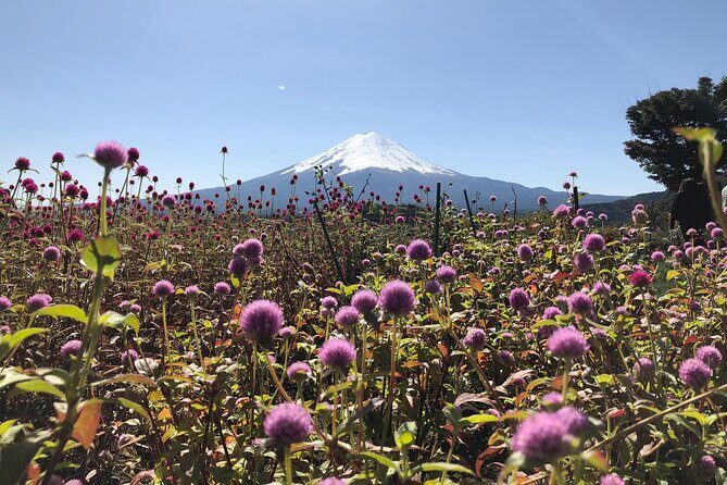 Mount Fuji Full Day Sightseeing Tour from Tokyo - The Sum Up