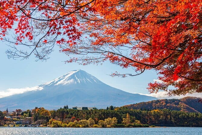 Mount Fuji Full Day Tour form Tokyo Lake Kawaguchi & Yamanaka - A Complete Breakdown of the Tour Experience