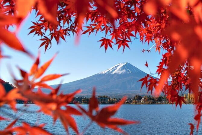 Mount Fuji Full Day Tour form Tokyo Lake Kawaguchi & Yamanaka - FAQs