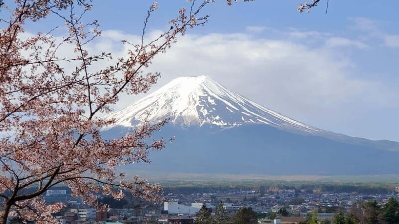 Mount Fuji & Hakone Full-Day Private Tour (Customizable) - Introduction: What You Can Expect from This Tour