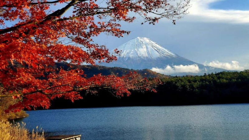 Mount Fuji & Hakone Full-Day Private Tour (Customizable) - Practical Considerations and Value