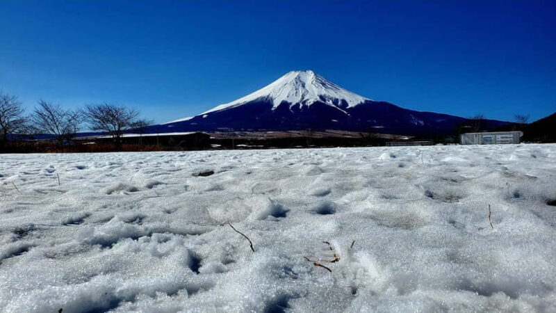 Mount Fuji & Hakone Full-Day Private Tour (Customizable) - The Sum Up: Is This Tour Right for You?