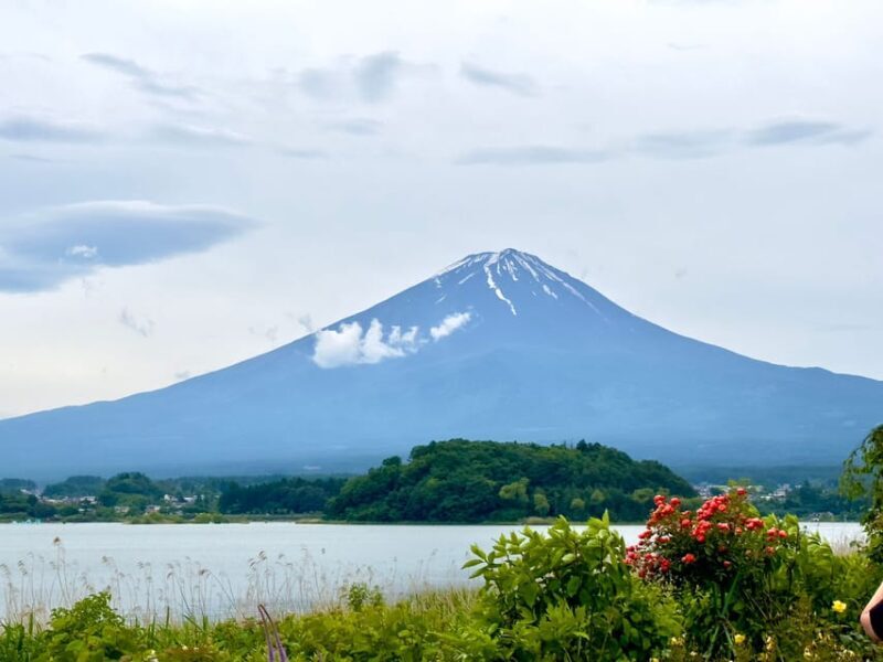 Mount Fuji Hakone with English-speaking Guide - Key Points