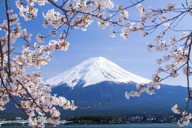 Mount Fuji & Lake Kawaguchi Day Trip with English-speaking Driver - Why Consider a Private Mount Fuji & Lake Kawaguchi Tour?