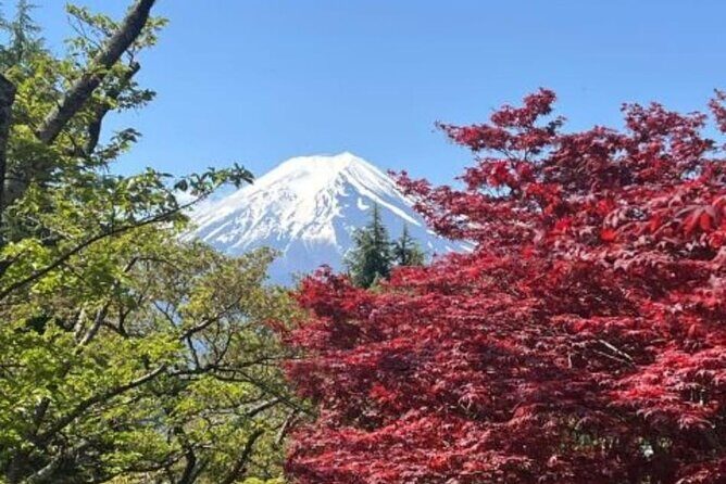 Mount Fuji & Lake Kawaguchi Day Trip with English-speaking Driver - What’s Included and What’s Not?