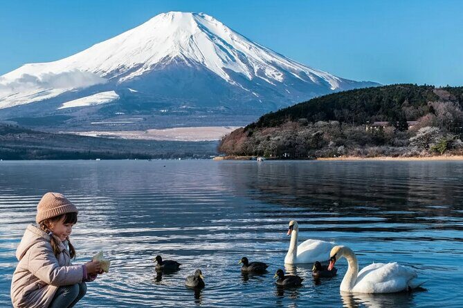 Mount Fuji Lake Yamanaka Discovery Private Tour - An In-Depth Look at This Lake and Mountain Adventure