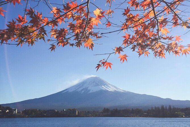 Mount Fuji (Mt. fuji) private tour by car with pickup from Tokyo - An In-Depth Look at This Mount Fuji Private Tour