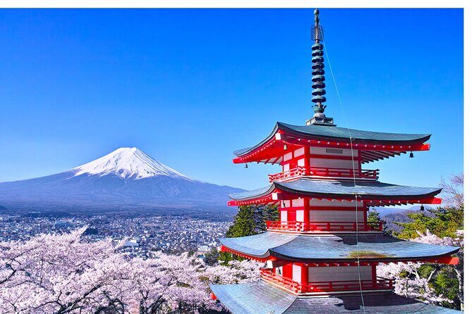 Mount Fuji Panoramic Day Trip from Tokyo - Exploring the Mount Fuji Panoramic Day Trip from Tokyo