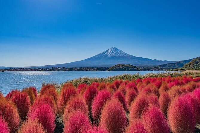 Mount Fuji Panoramic Day Trip from Tokyo - Who Will Love This Tour?