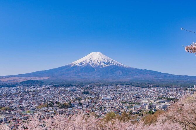Mount Fuji Panoramic Day Trip from Tokyo - The Sum Up