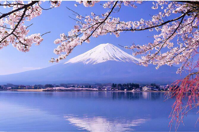 Mount Fuji Panoramic Day Trip from Tokyo - FAQ