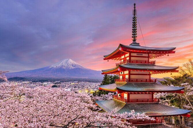 Mount Fuji Panoramic View and Shopping Day Tour - Key Points