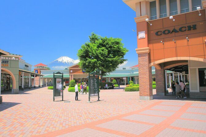 Mount Fuji Panoramic View and Shopping Day Tour - Exploring the Itinerary: What to Expect