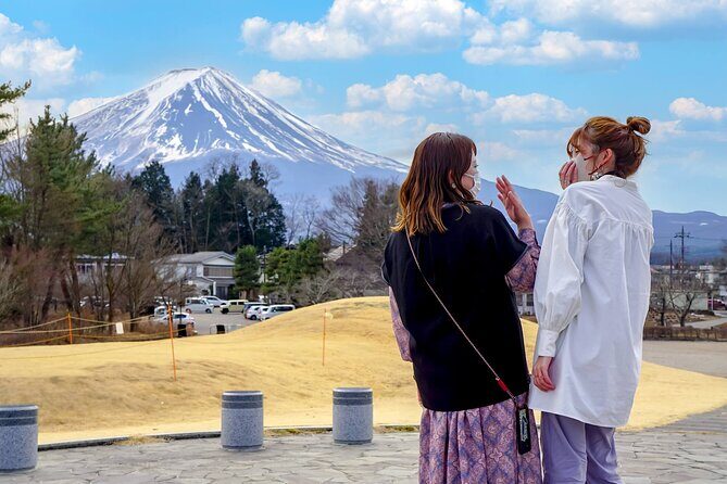 Mount Fuji Panoramic View and Shopping Day Tour - Who Should Consider This Tour?