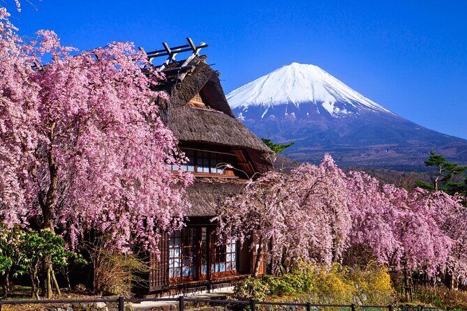 Mount Fuji Private Custom Tour with Local English Speaking Guide - Discovering the Best of Mt. Fuji in Comfort and Style
