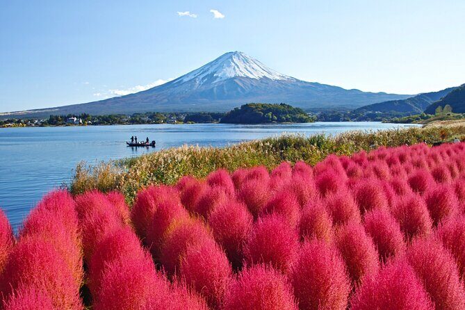 Mount Fuji Private Custom Tour with Local English Speaking Guide - Price and Value