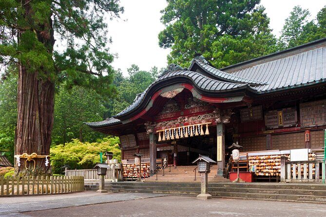 Mount Fuji Private Custom Tour with Local English Speaking Guide - Practical Tips and Considerations