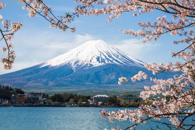 Mount Fuji: Private Full day Tour (Customizable) Eng driver - What To Expect During the Day