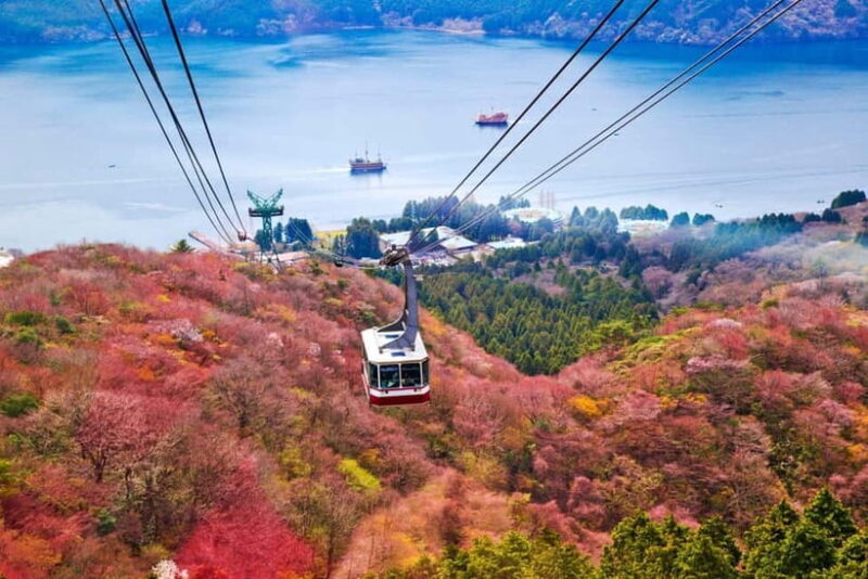 Mount Fuji: Private Full day Tour (Customizable) Eng driver - FAQs