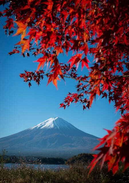 Mount Fuji Private Full Day Tour from Tokyo by Car or Van - An In-Depth Look at the Experience
