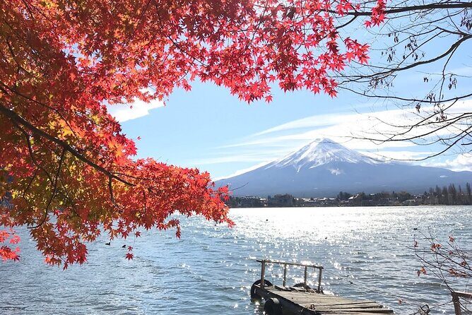 Mount fuji Private Tour - Price and Value Considerations