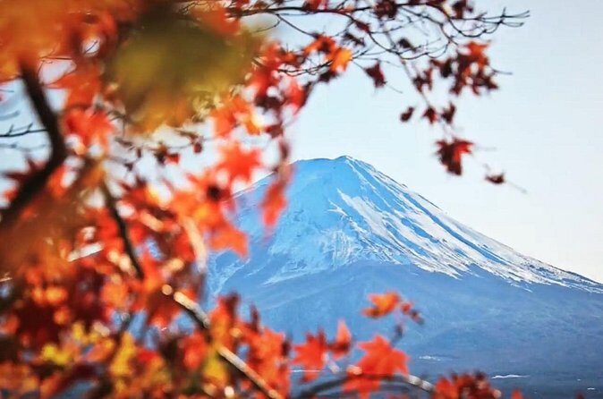 Mount fuji Private Tour - The Sum Up: Who Should Consider This Tour?