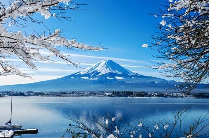 Mount Fuji Private Tour from Tokyo with English Speaking Driver - Final Thoughts