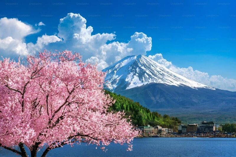 Mount Fuji Private Tour With English Speaking Driver - FAQ