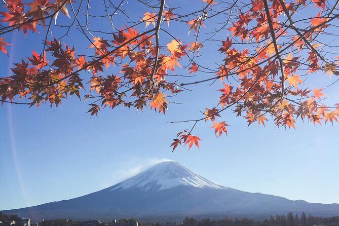 Mount Fuji Private Tour With English Speaking Driver - What to Expect from the Mount Fuji Private Tour