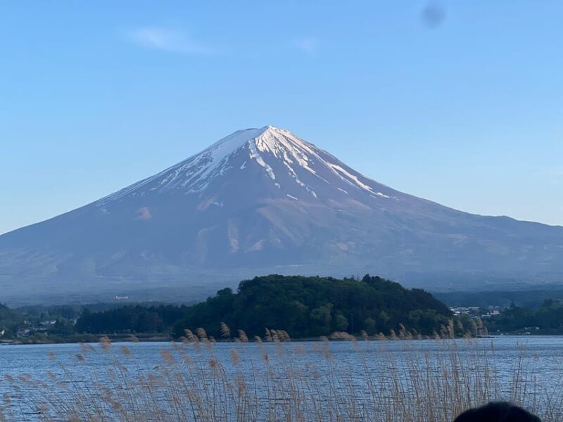 Mount Fuji Private Tour With English Speaking Driver/Guide - The Journey Begins: From Tokyo to Mount Fuji