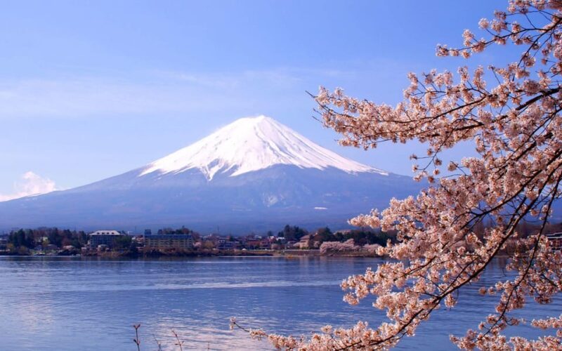 Mount Fuji Pvt. Full Day Trip with English-Speaking Driver - Who Will Love This Tour?