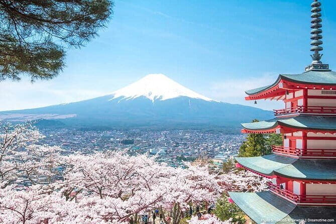 Mount Fuji Sightseeing Private tour w English speaking chauffeur - FAQ