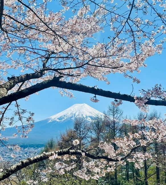 Mount Fuji VIP & Luxury Customise One Day Tour. - An Introduction to What You Can Expect