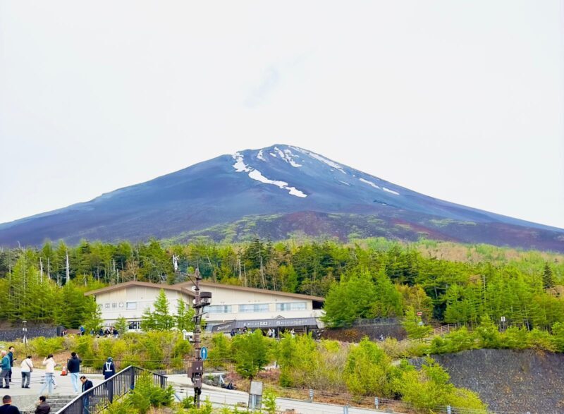 Mount Fuji VIP & Luxury Customise One Day Tour. - Additional Considerations