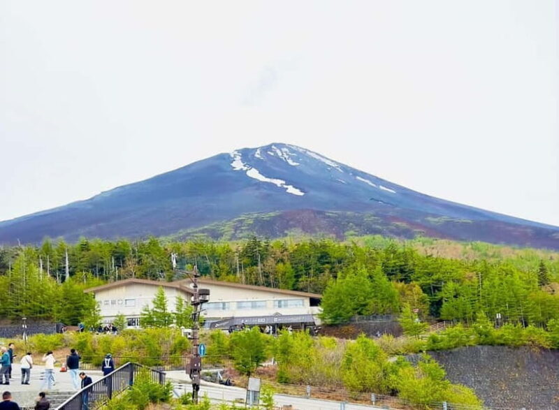 Mount Fuji VIP & Luxury Customise One Day Tour. - Who Is This Tour Best For?