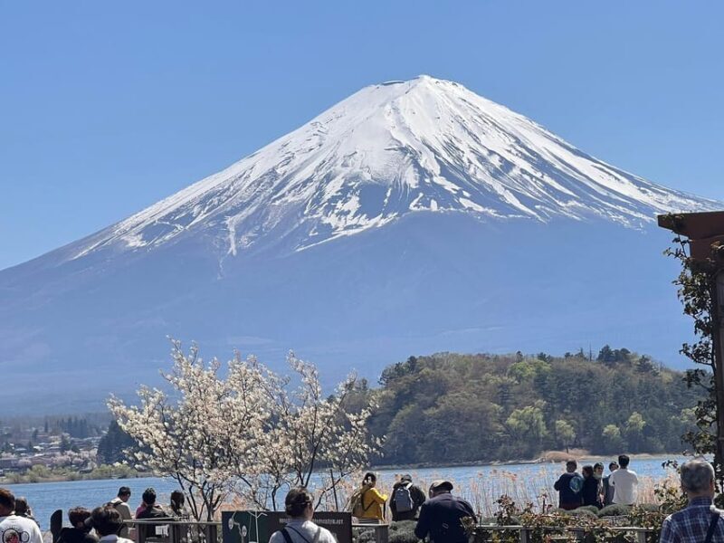 Mount Fuji,Lake Kawaguchiko Private Tour By Car With Pick Up - FAQ