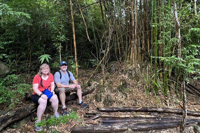 Mount Healthy National Park Private Hike Tour in Tortola - Key Points