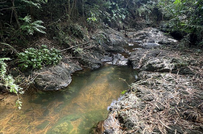Mount Healthy National Park Private Hike Tour in Tortola - The Sum Up: The Right Fit for Nature & Culture Enthusiasts