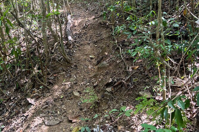 Mount Healthy National Park Private Hike Tour in Tortola - FAQ Section