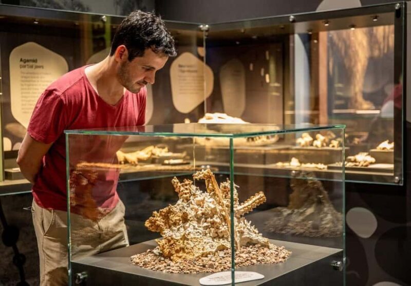 Mount Isa: Riversleigh Fossil Discovery Centre Guided Tour - Key Points