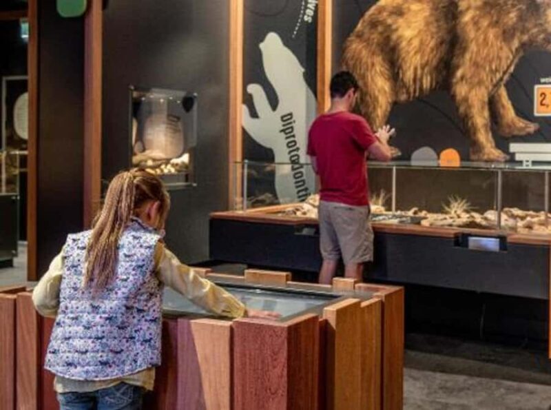 Mount Isa: Riversleigh Fossil Discovery Centre Guided Tour - The Exhibits and Displays